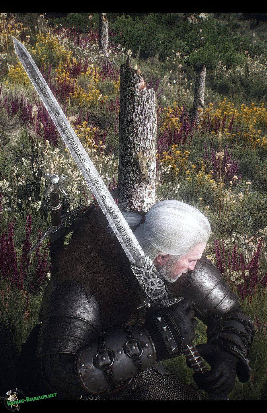 The witcher 3 weapons mod фото 44