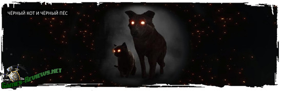 Чёрный кот и чёрный пёс в Ведьмак 3