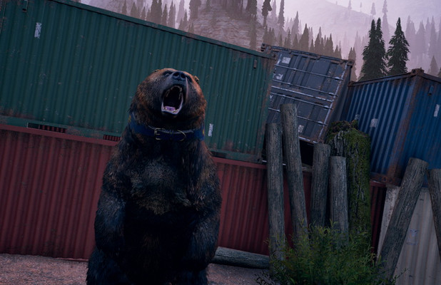 Медведь по кличке Чизбургер в Far Cry 5