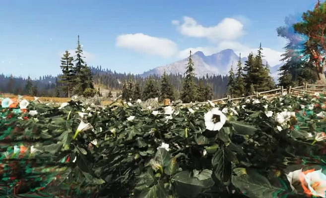 Поле цветов блажи в Far Cry 5