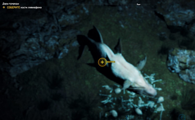 Скриншот из задания «Дары природы» в Far Cry 5