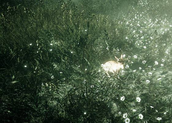 Скриншот из задания «За чистоту окружающей среды» - Far Cry 5