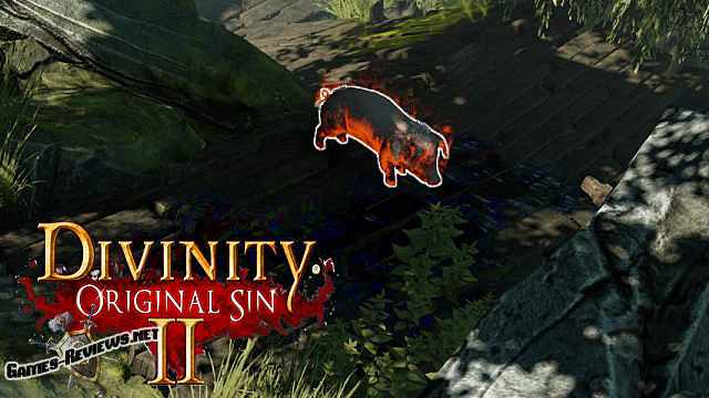 Пылающие свиньи в Divinity: Original Sin 2 — как потушить?